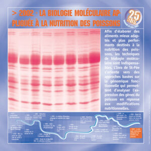 2002_800pxl 2002_800pxl